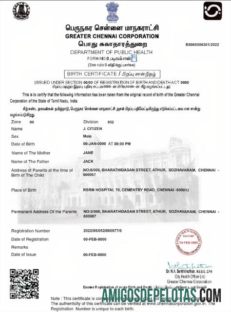 Realista modelo de certidão de nascimento da Índia em formato PSD, totalmente editável